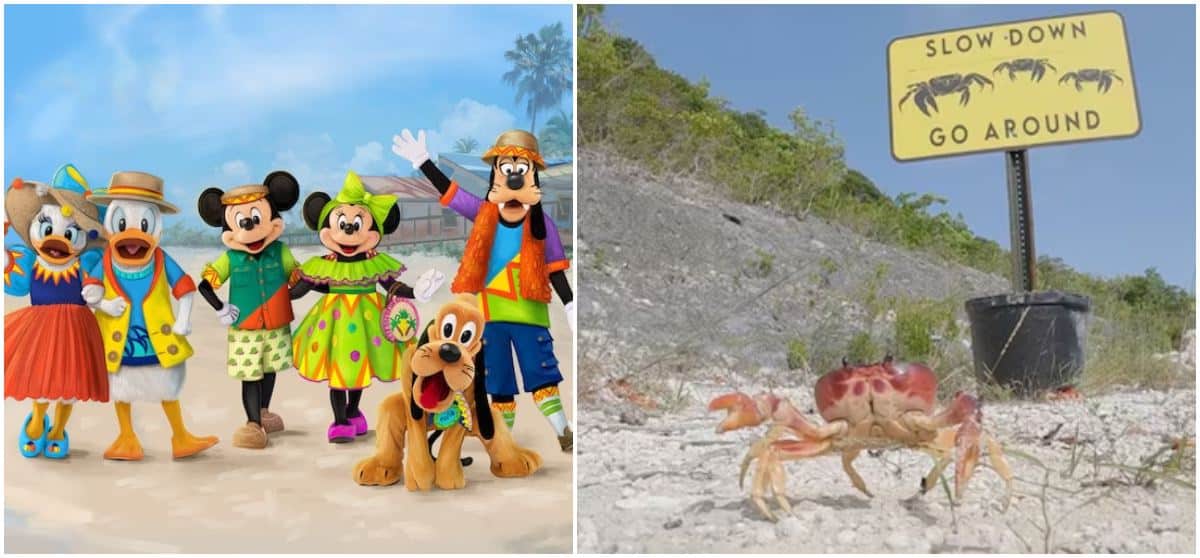 Disneys Lookout Cay Character Costumes and Wildlife You Will Encounter