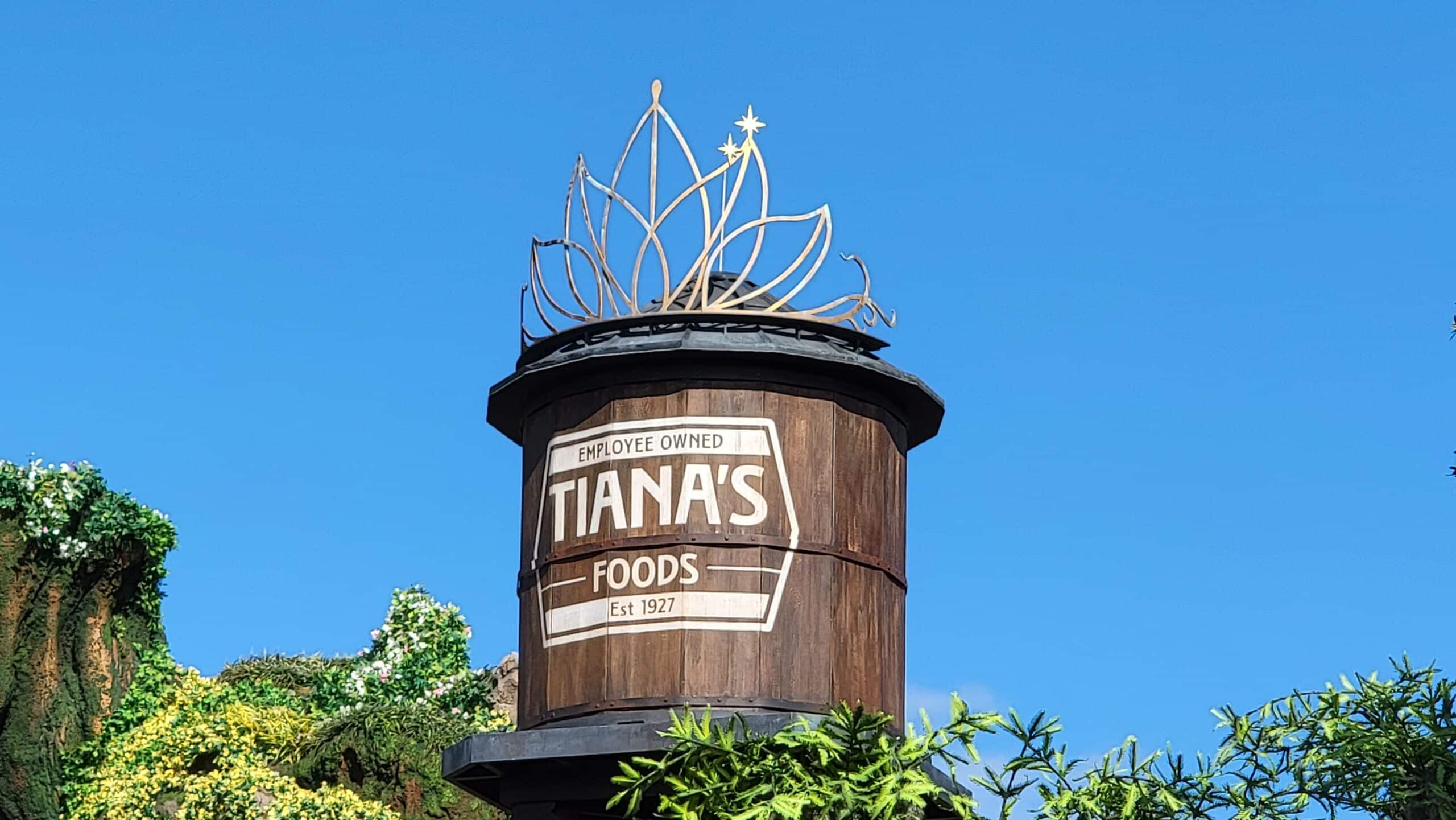 Local Small Business Behind The New Tianas Food Water Tower at Tianas Bayou Adventure