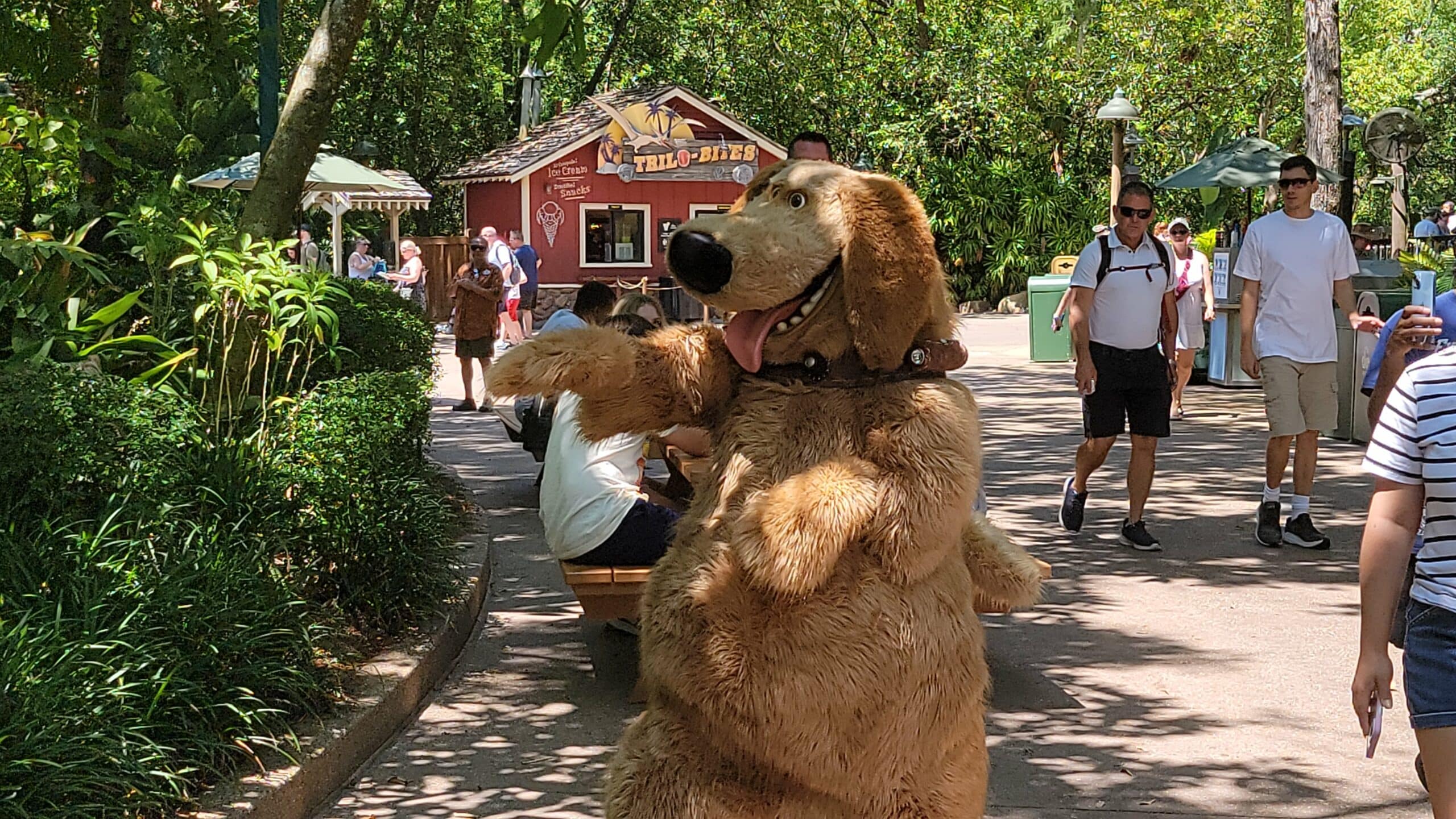 Surprise Talking Dug Character from Pixars Up Comes to Walt Disney World