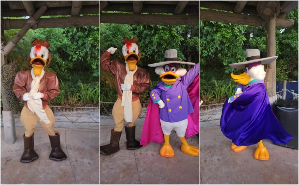 After Hours at Typhoon Lagoon Cast Member Event With Special Characters 