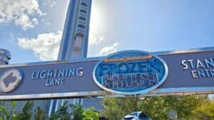 Updated DAS (Disney Access Service) Pass Changes - Our Experience and How You Can Advocate for Yourself or Loved Ones