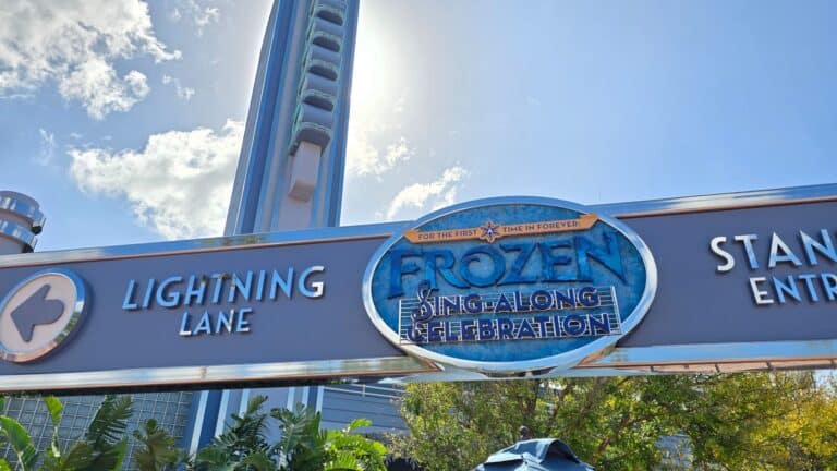 Updated DAS (Disney Access Service) Pass Changes - Our Experience and How You Can Advocate for Yourself or Loved Ones