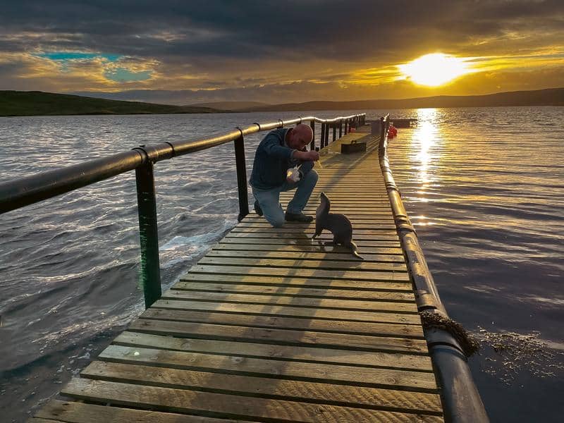 Billy & Molly: An Otter Love Story From National Geographic Now Available on Disney+