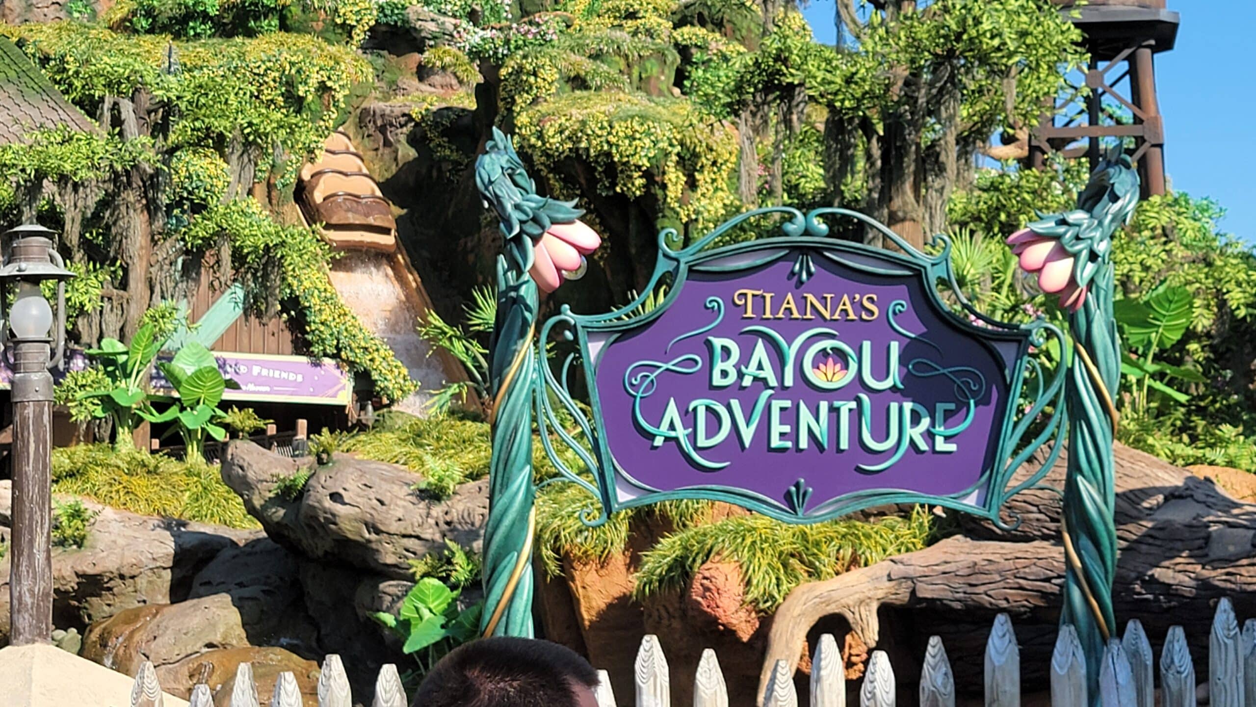 Tianas Bayou Adventure Opens June 28th   7 Ways You Can Celebrate Princess Tiana at Disney World