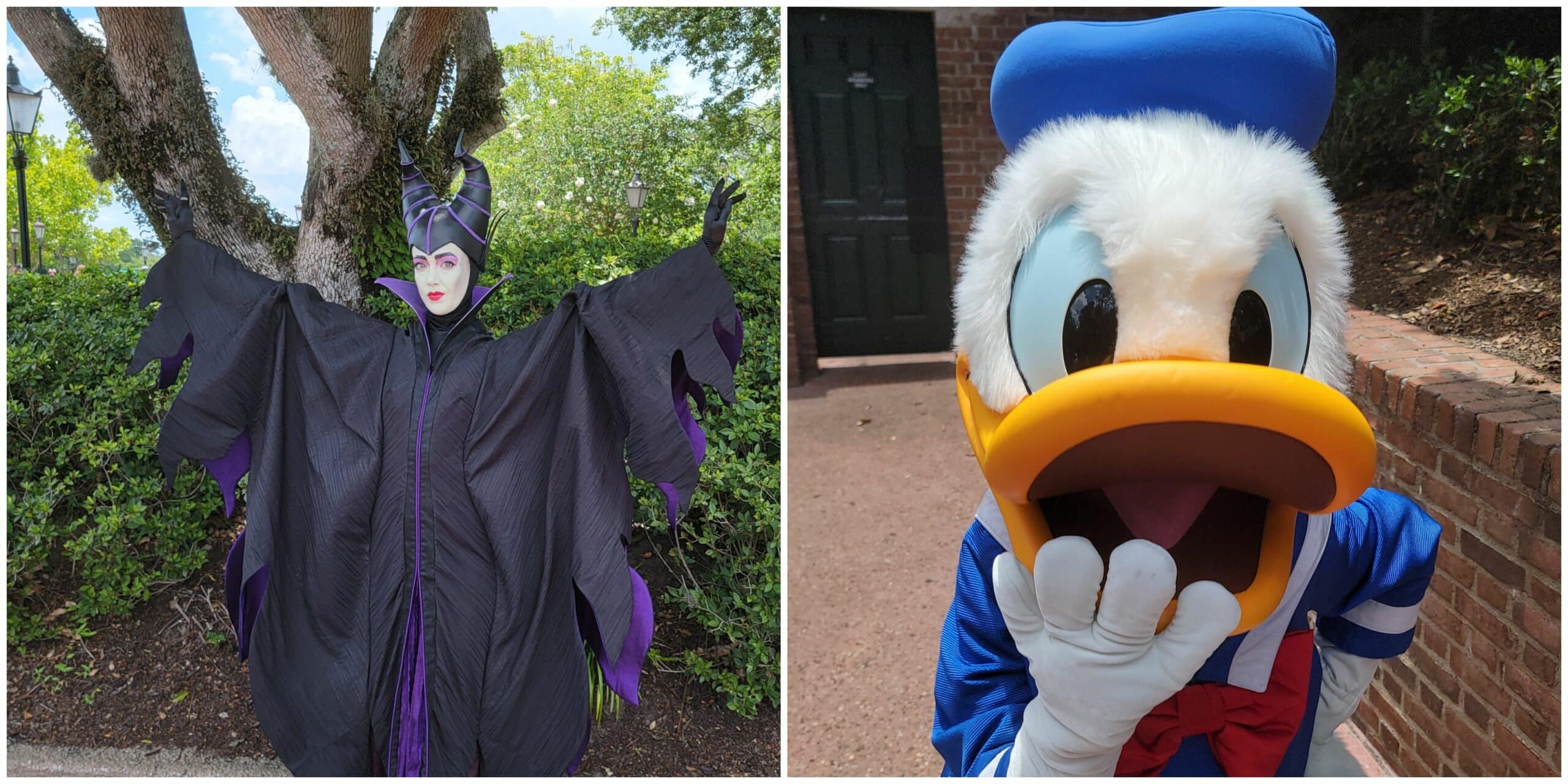 Epcot Character Palooza Take Your Chances in Meeting Disney Characters