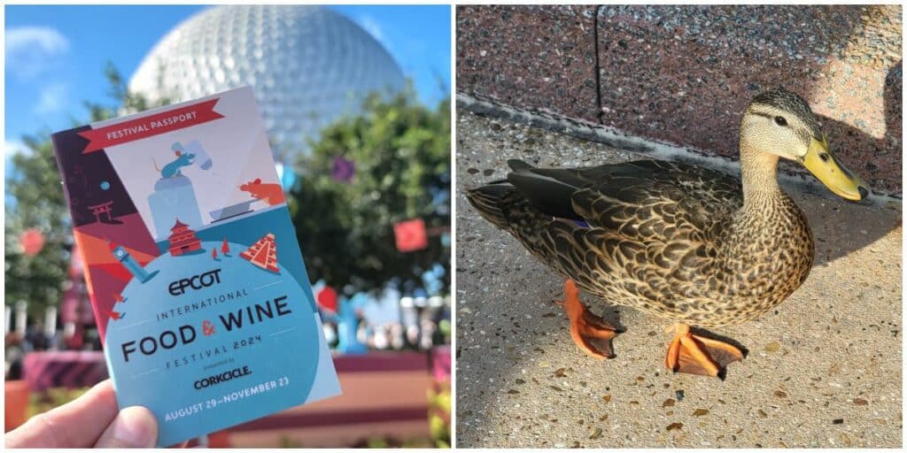 Food  Wine  Cheese  Merch  Friends  Ducks   Epcot International Food  Wine 2024 Has Begun