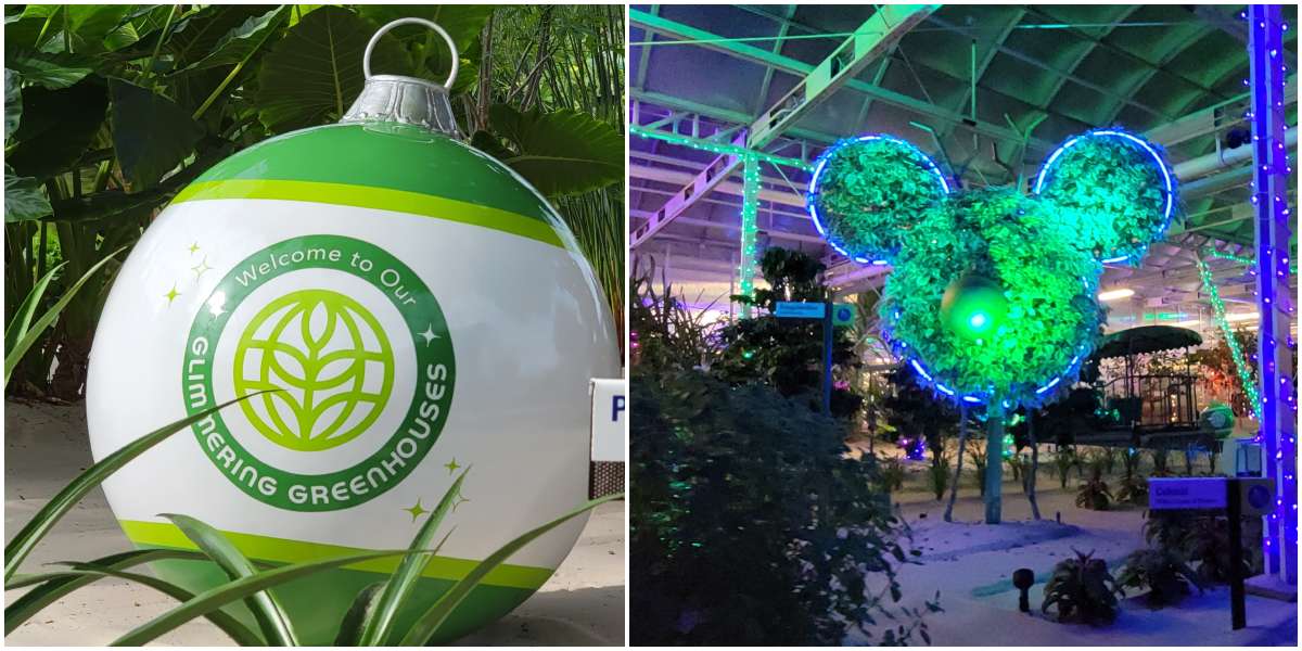Behind the Seeds Glimmering Greenhouses Tour Coming to Epcot Festival of the Holidays 2024