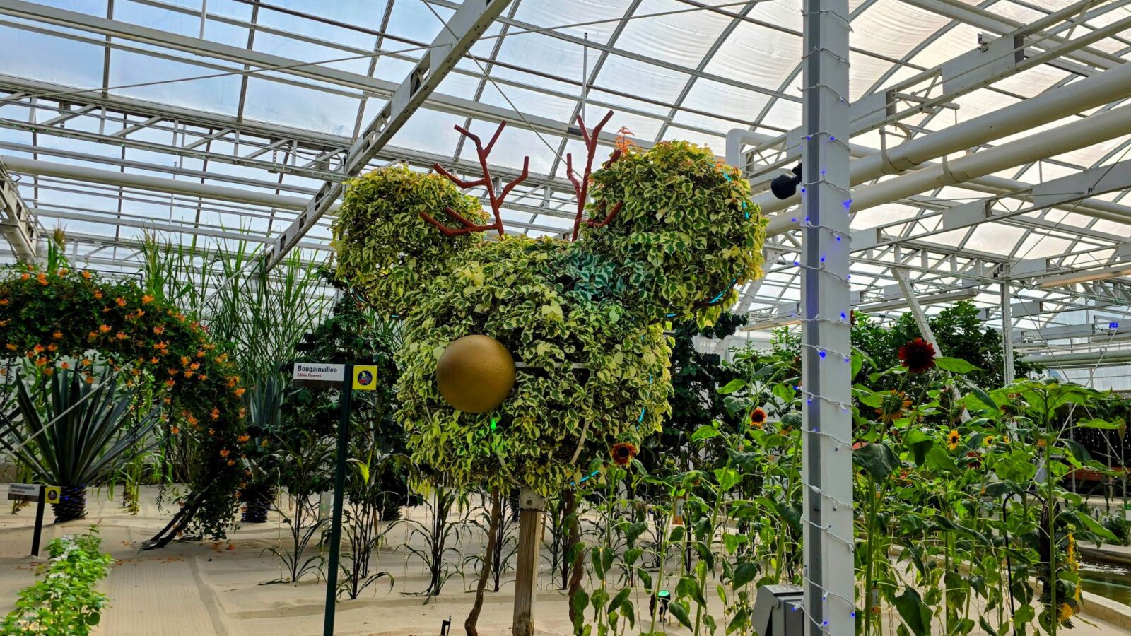 Behind the Seeds Glimmering Greenhouses Tour Announced for EPCOT Festival of the Holidays 2025
