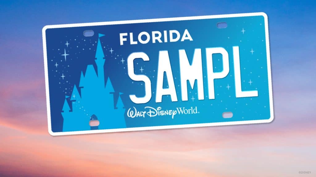 Walt Disney World Raises  Million for Make A Wish with Help from Florida Residents