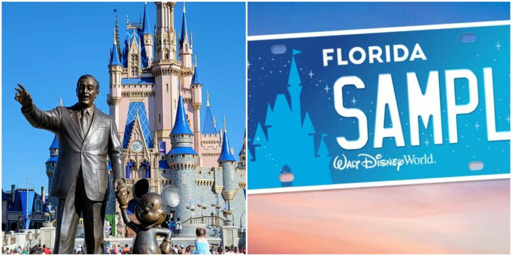 Walt Disney World Raises  Million for Make A Wish with Help from Florida Residents