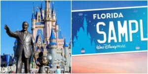 Walt Disney World Raises  Million for Make-A-Wish with Help from Florida Residents