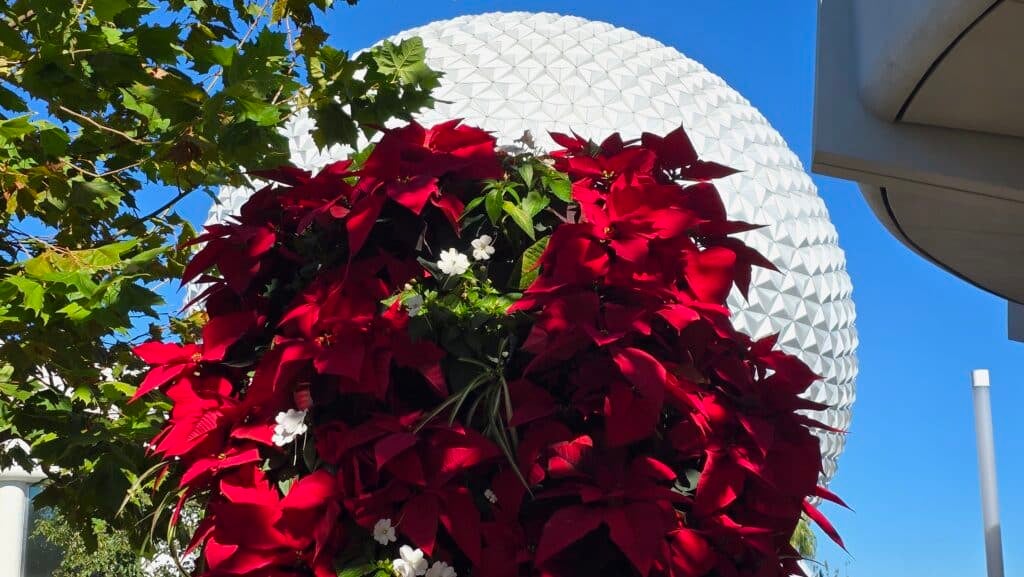 Check out the Decorations for Epcot Festival of the Holidays 2024