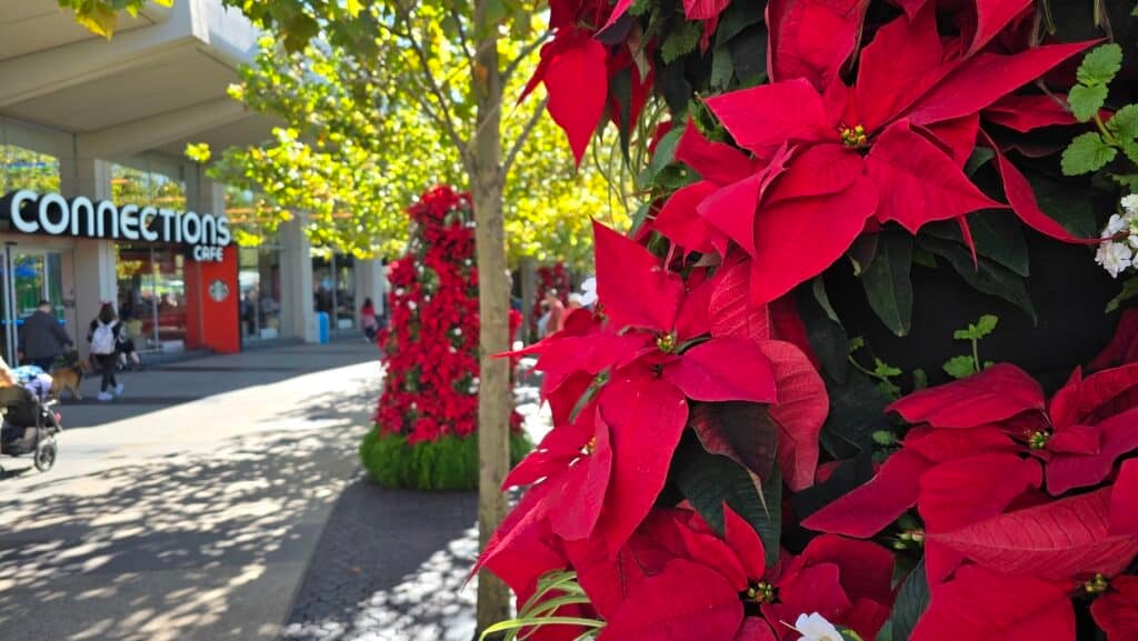 Check out the Decorations for Epcot Festival of the Holidays 2024