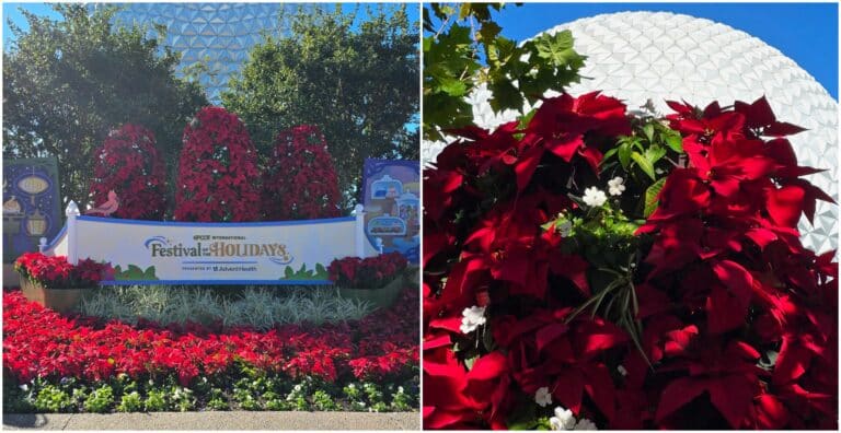 What Time Can You See the Candlelight Processional, Meet Santa, Hear JOYFUL!, and Watch Storytellers at Epcot's Festival of the Holidays?