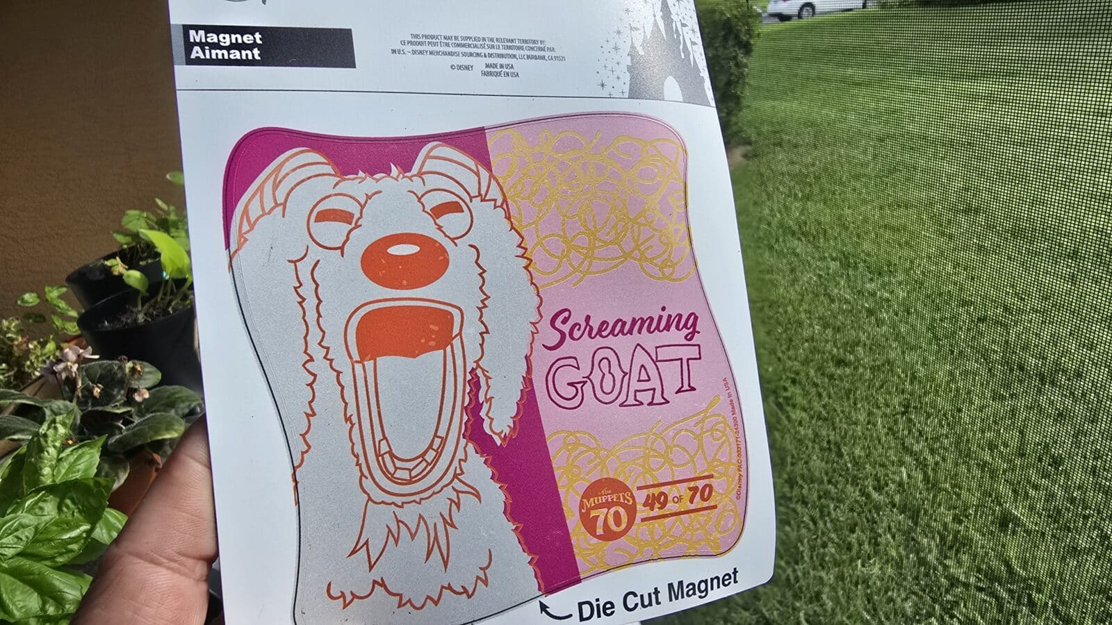 Screaming Goat