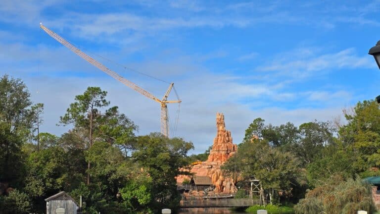 Large Crane Joins the Magic Kingdom Skyline