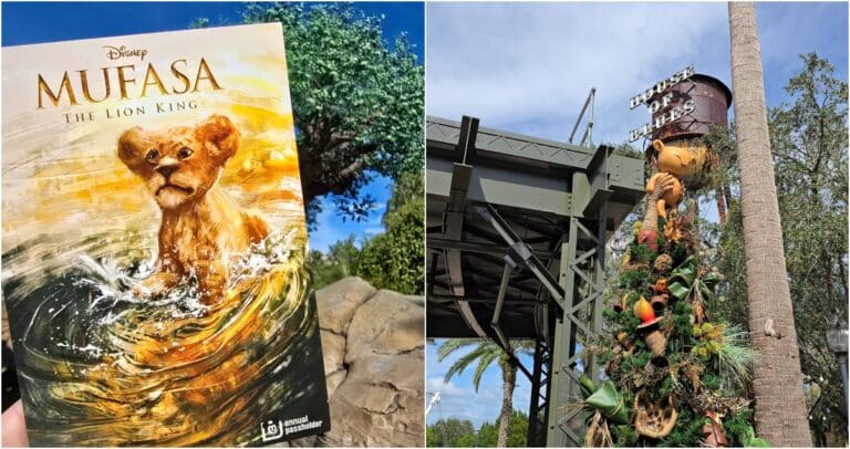 Where to Find Mufasa: The Lion King at Walt Disney World