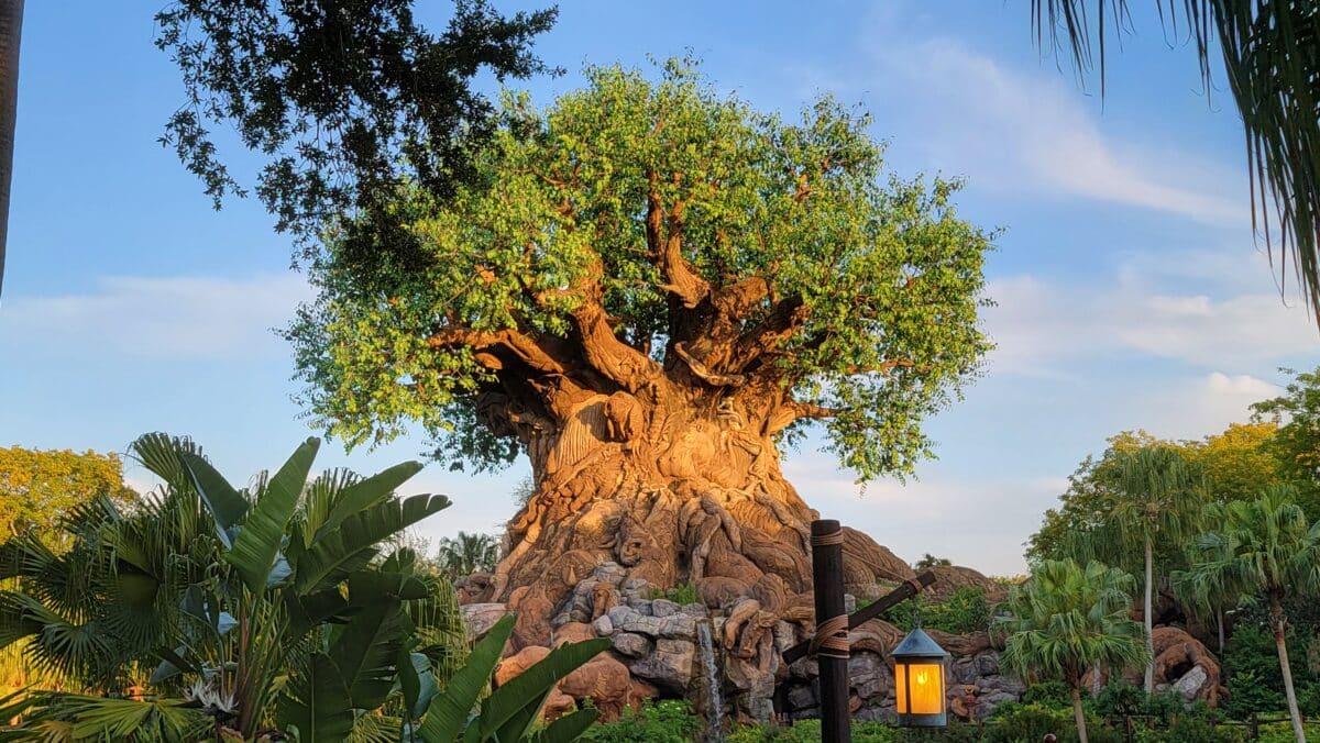 Walt Disney World Animal Kingdom Dining Menu Tusker House Lunch  Dinner 2025