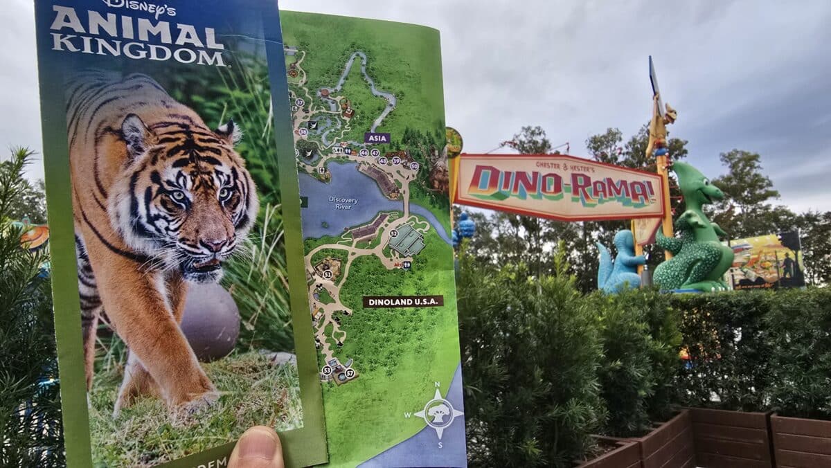 Walls Up as Dinoland USA Phased Closures Begin at Disney's Animal Kingdom