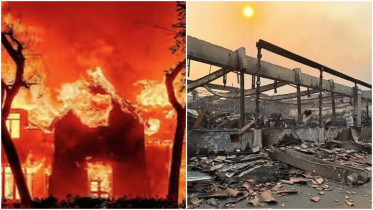 Disney Commits  Million to Aid California Fire-Ravaged Communities