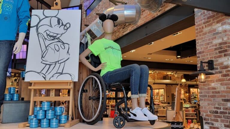 Disney World DAS Policy Wording Tweaked: Disney Blogs Exploit Community Concerns