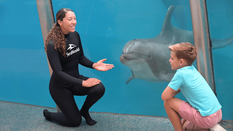 SeaWorld Orlando's Inside Look Event is Back with New Exclusive Behind-the-Scenes Experiences