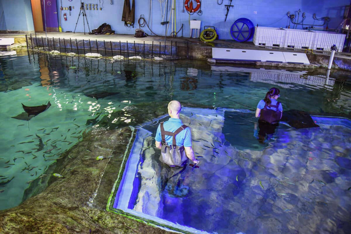 SeaWorld Orlando's Inside Look Event is Back with New Exclusive Behind-the-Scenes Experiences