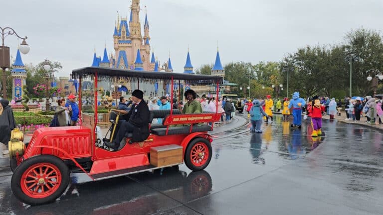 Video: 'Magic Kingdom Rainy Day Cavalcade' during the Wet and Cold Week of Florida Winter 2025