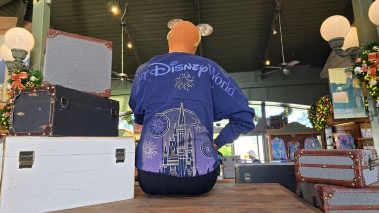 Cinderella Castle with Fireworks Walt Disney World Merchandise Collection Now Available