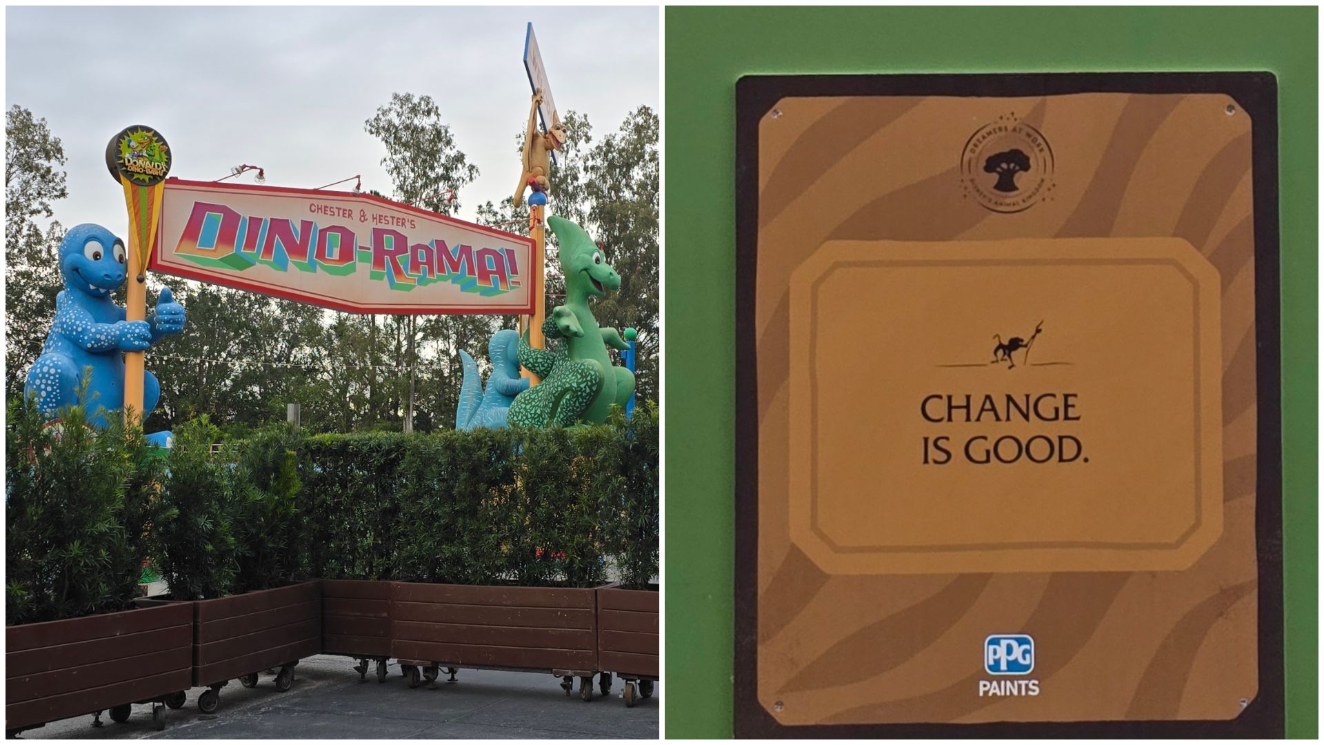 Walls Up as Dinoland USA Phased Closures Begin at Disney's Animal Kingdom
