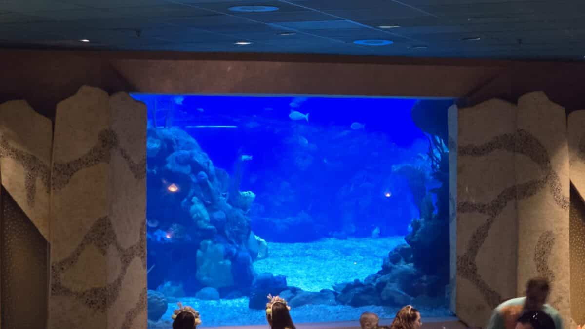 Walt Disney World Epcot Dining Menu Coral Reef Lunch  Dinner 2025
