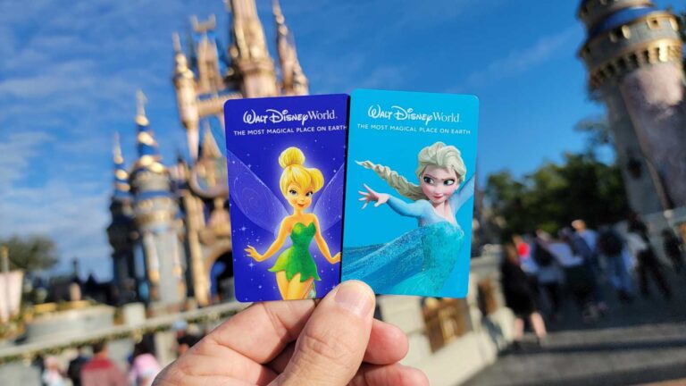 7 Reasons You Want to Apply for the Disney College Program
