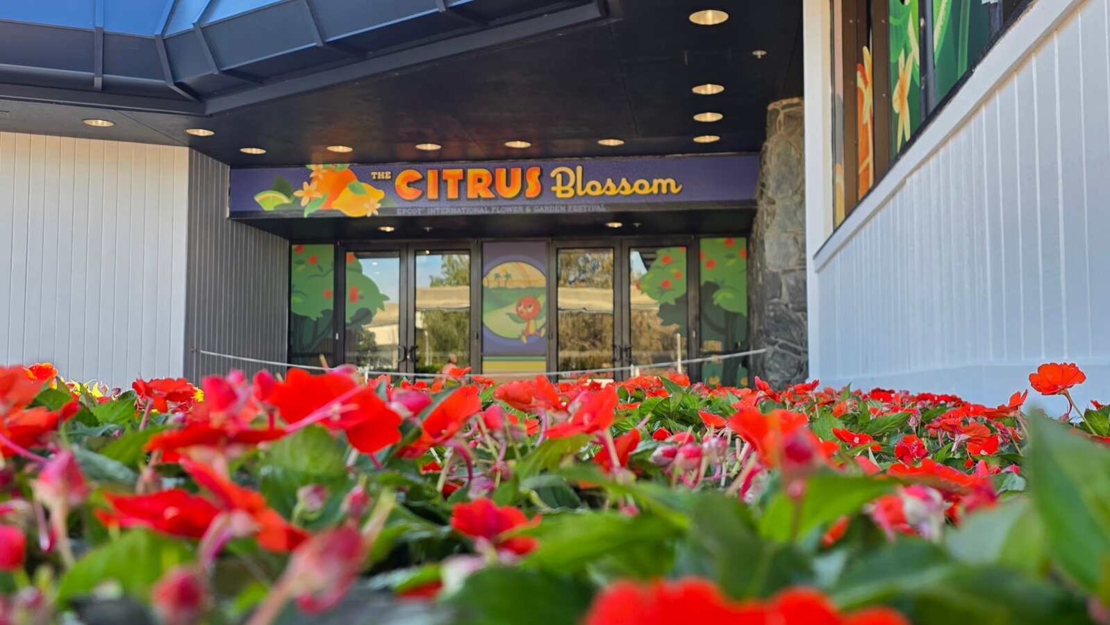 Citrus Blossom Entry Doors