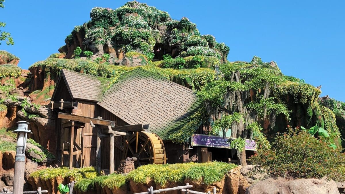Walt Disney World Removing Virtual Queue from Guardians of the Galaxy  Tiana's Bayou Adventure