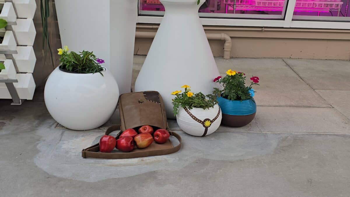 Epcot's Living With The Land Gets 'Tangled' Twist: Search for Hidden Pascal During Flower & Garden Festival 2025