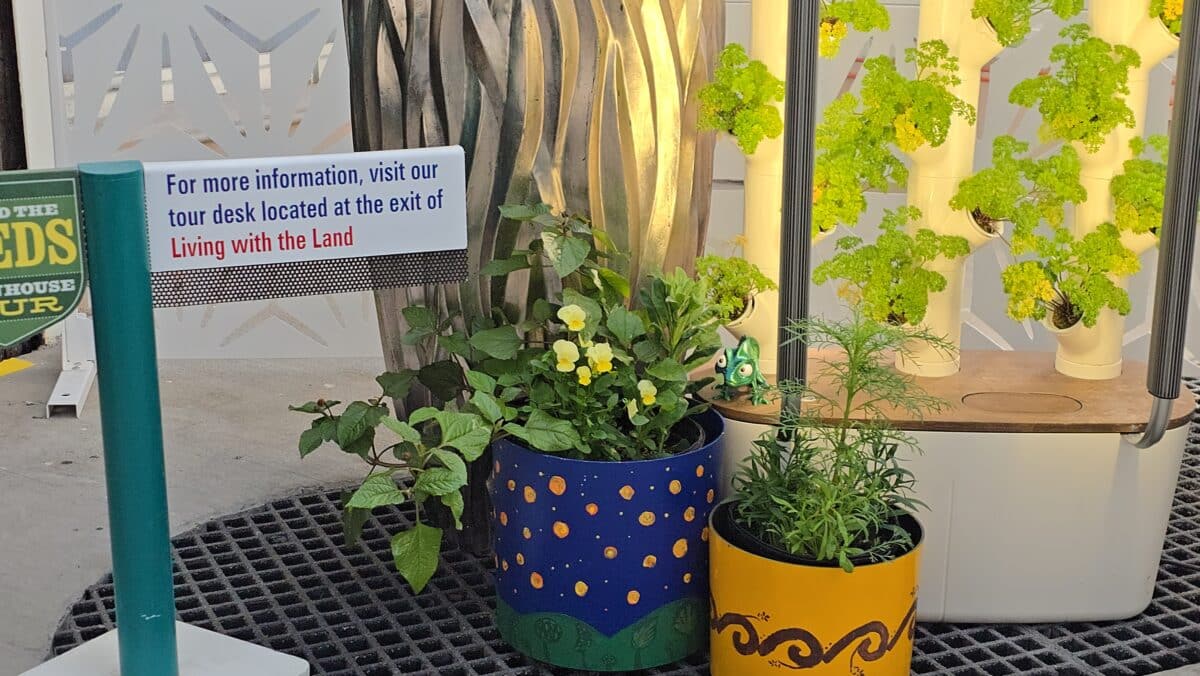 Epcot's Living With The Land Gets 'Tangled' Twist: Search for Hidden Pascal During Flower & Garden Festival 2025