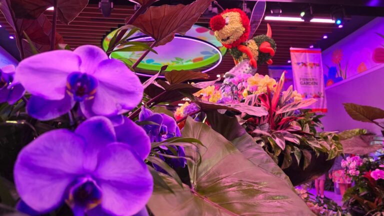 CommuniCore Hall Gets an Un-Bee-Leavable Makeover for Epcot's Flower & Garden Festival 2025