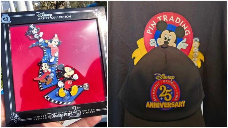 Disney Pin Collectors Celebrate 25 Years of Trading