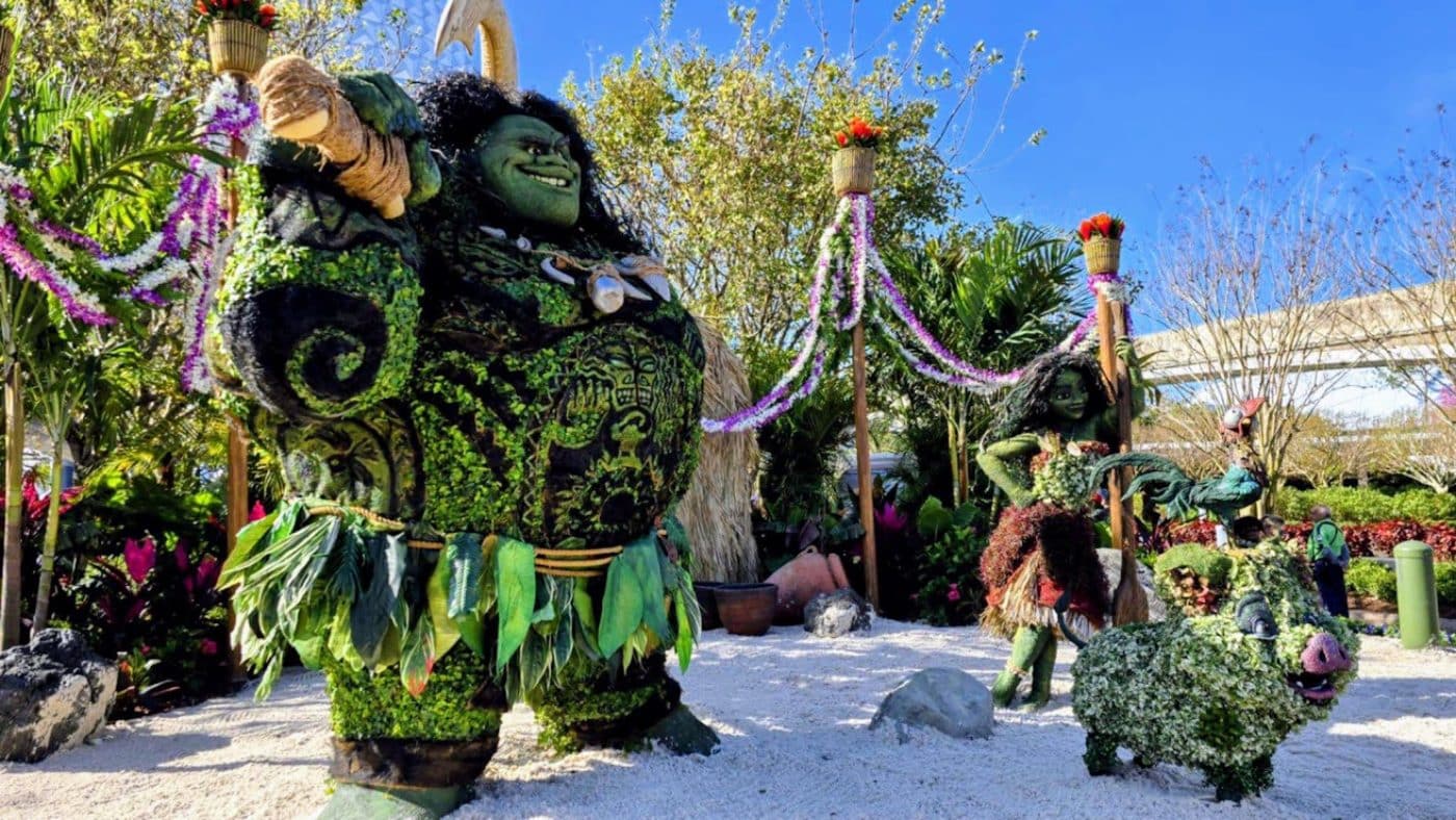 Epcot 2025 See Moana  Mauis New Flower  Garden Display