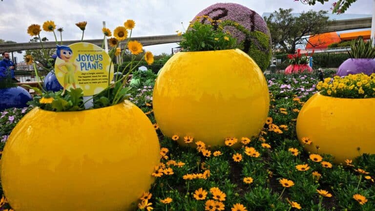 Epcot Flower & Garden 2025: Inside Out 2 Emotions Garden