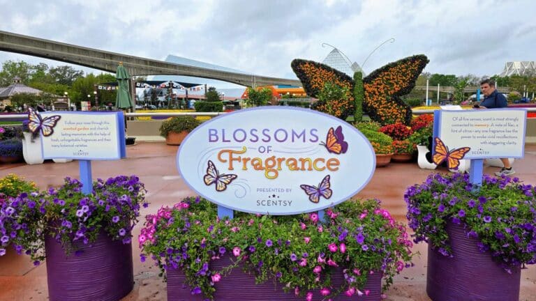 Scentsy's Garden at Epcot Flower & Garden 2025 "Blossoms of Fragrance"