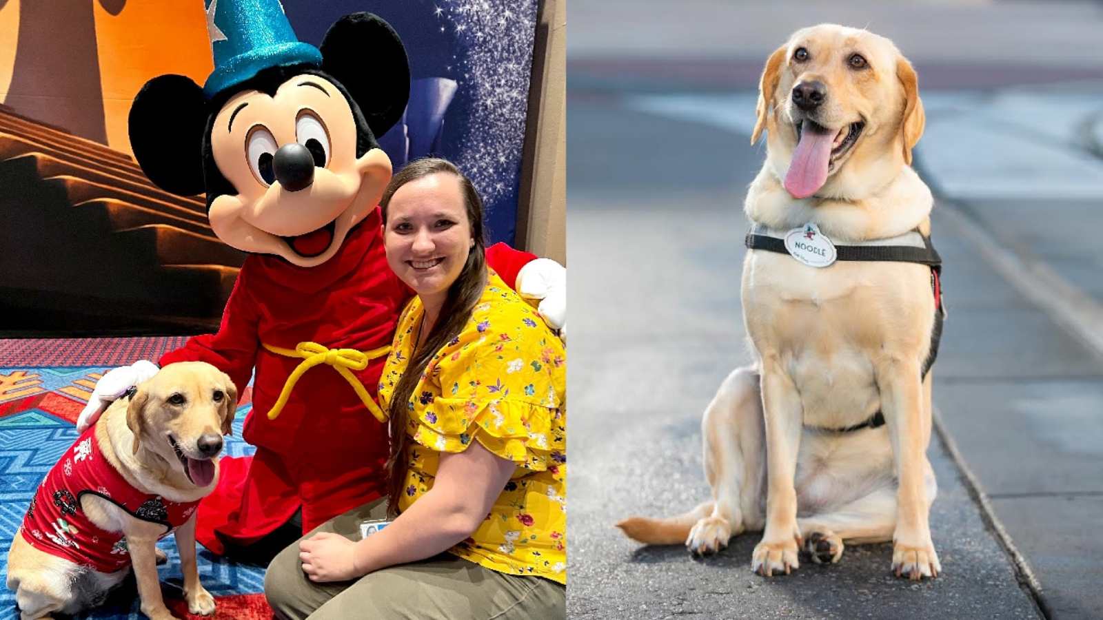 Frontierland Changes Spark Criticism of Disney Imagineer