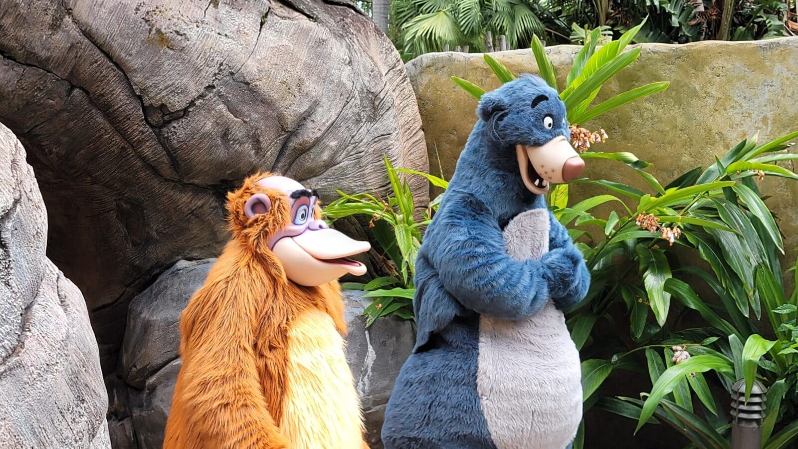 Exclusive Character Encounters at Disney's Animal Kingdom This Week
