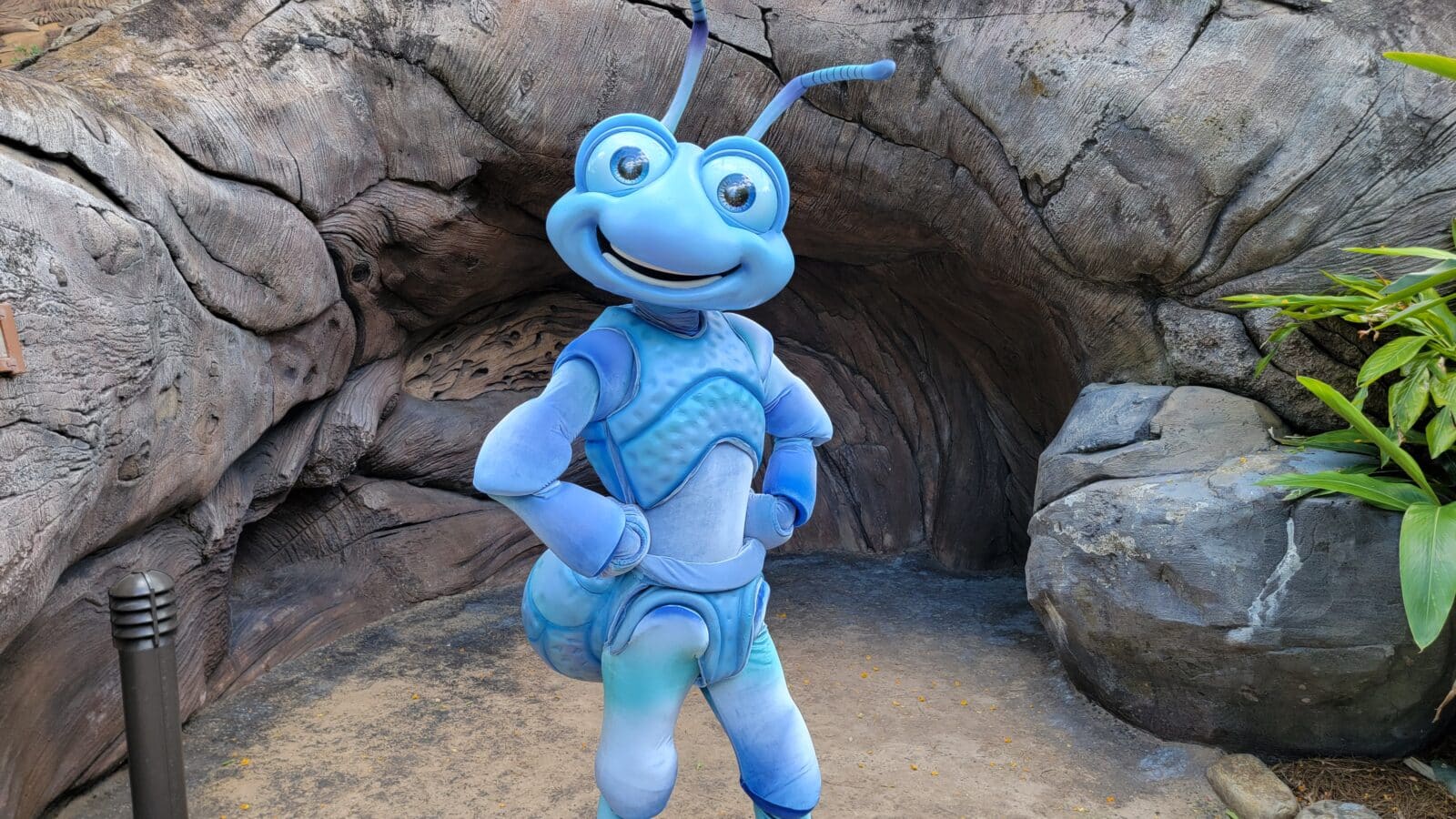 Exclusive Character Encounters at Disney's Animal Kingdom This Week