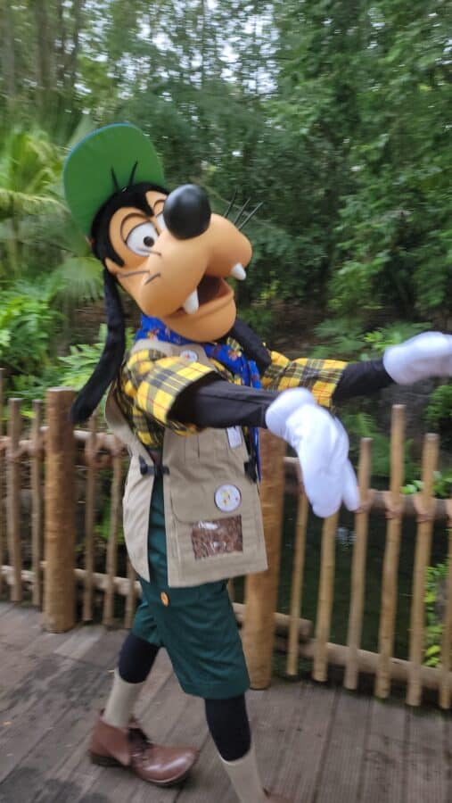Exclusive Character Encounters at Disney's Animal Kingdom This Week
Goofy