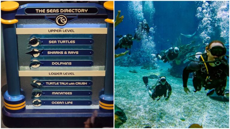 Epcot Seas Adventure 'DiveQuest' Returns May 1st 2025