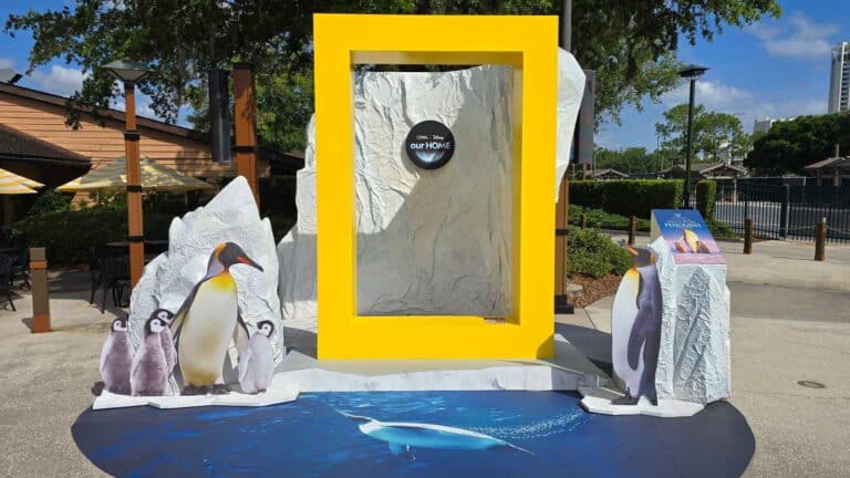 Nat Geo and Disney+ "Secrets of the Penguins" at Disney Springs