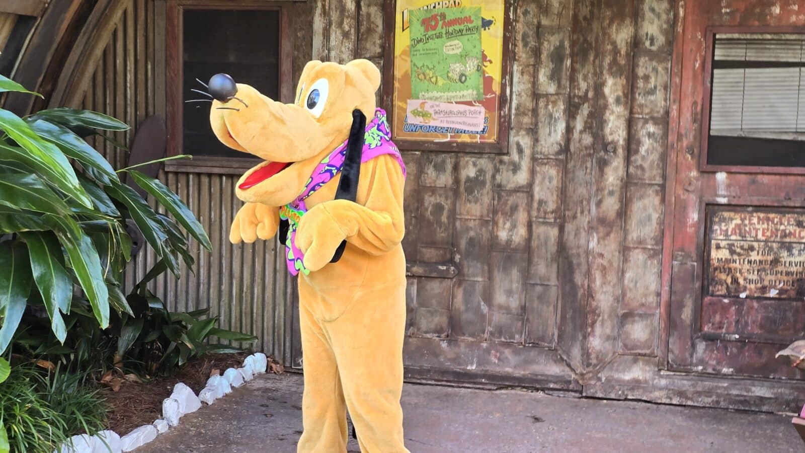 Family Guide to Disney's Cool Kids Summer at Disney's Animal Kingdom