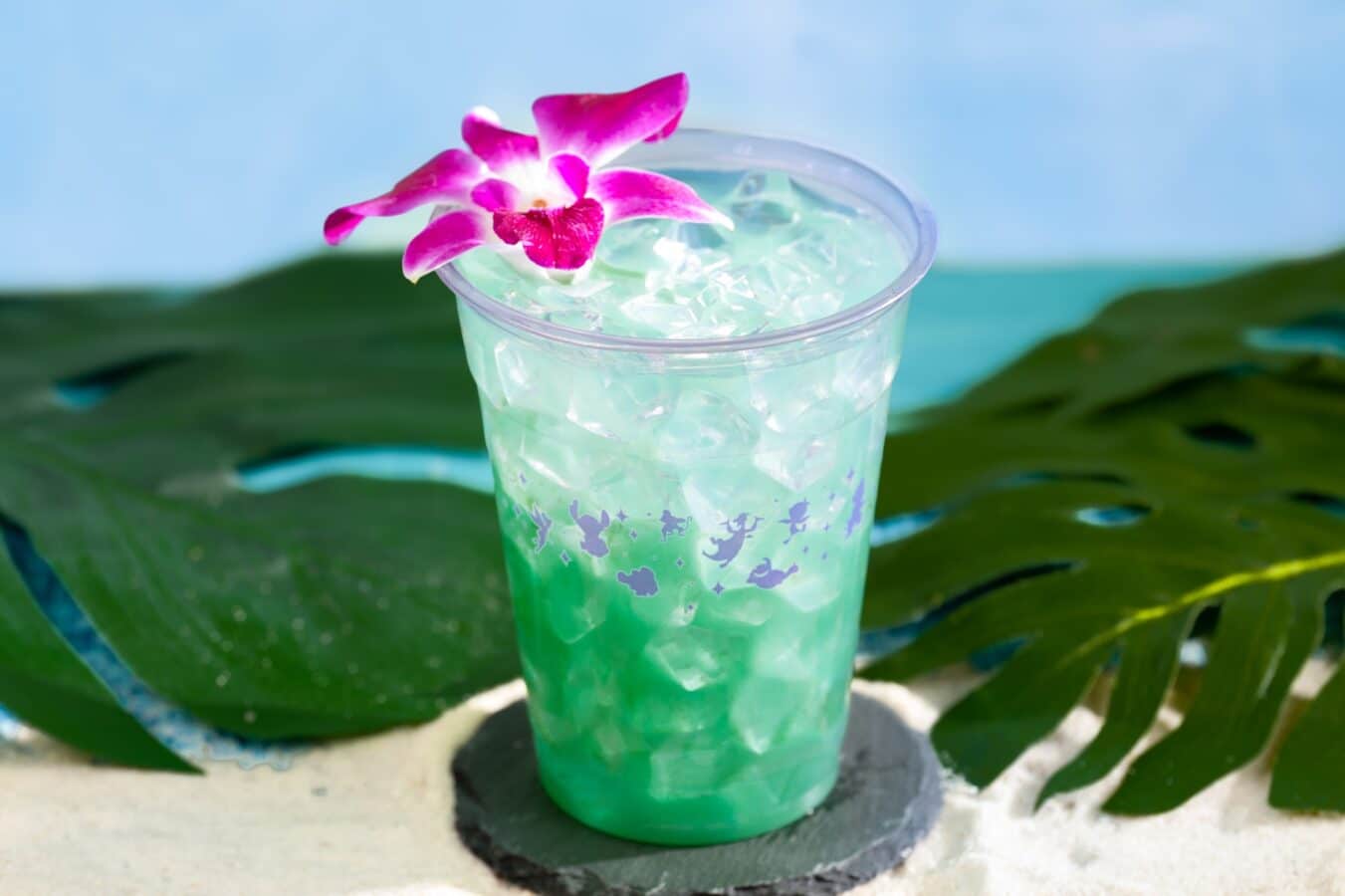 Hawaiian Roller Coaster Ride