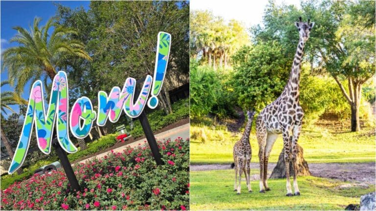 Celebrate Mom at Disney World This Mother's Day